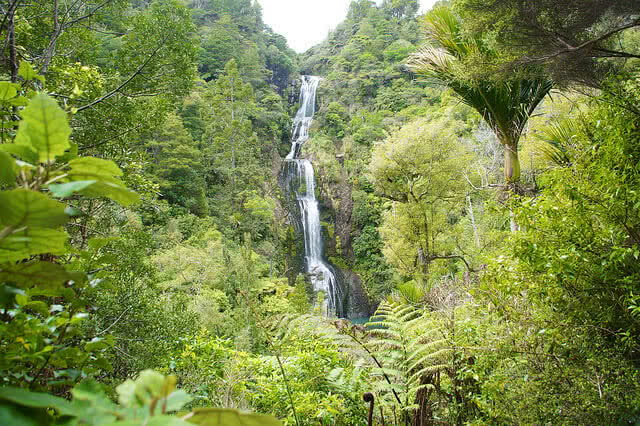 The kitekite Falls in the Waitakere Ranges