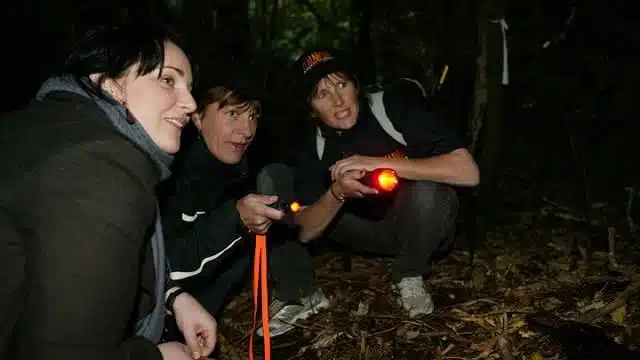 three people looking for kiwis at night using red light torch