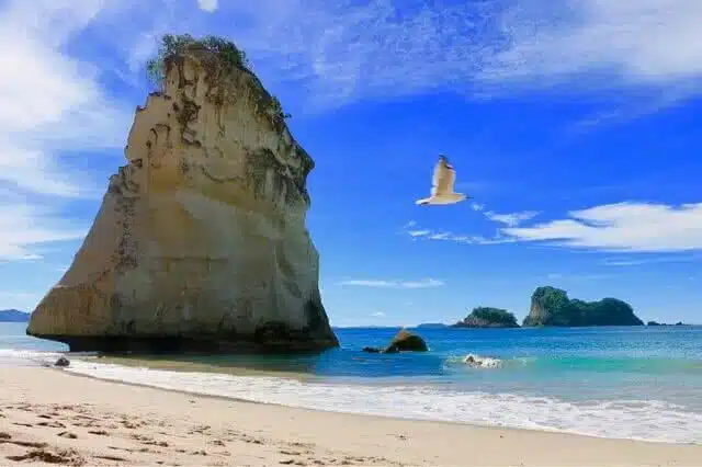 Cathedral Cove is a great place to visit in the winter