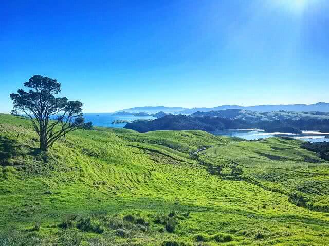 A view over the Coromandel Peninsula in the winter