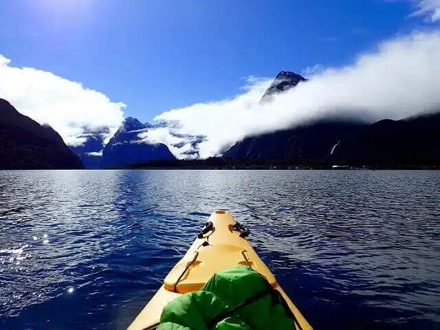 Kayaking in Milford Sound