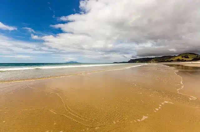 Pakiri Beach is a great reward at the end of the drive north to Matakana and beyond