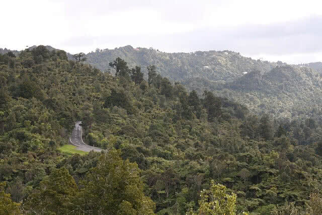 Scenic Drive - looking out from the Arataki Visitor Centre. Image credit: itravelNZ Flickr