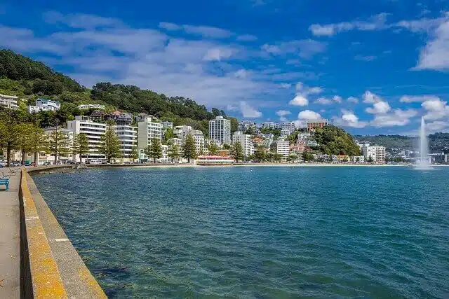 A bay surrounded by white buildings and apartments with a forested hill behind.