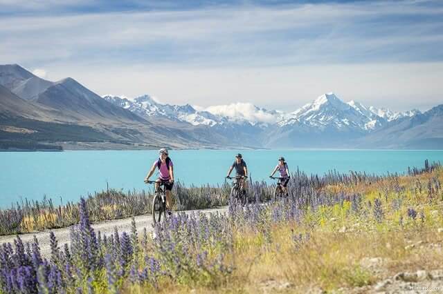 air nz travelling with bike