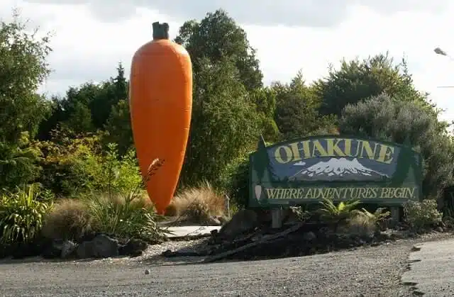 Weird Attractions Okahune Giant Carrot