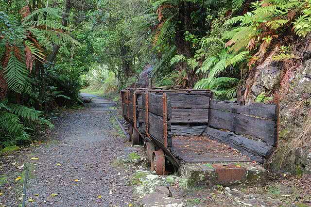 Charming Creek Walkway, West Coast