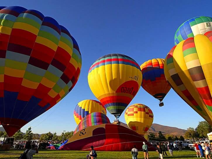 Image of a field full of hot air balloons