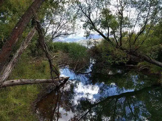 Taking a stroll around the beautiful Lake Hayes