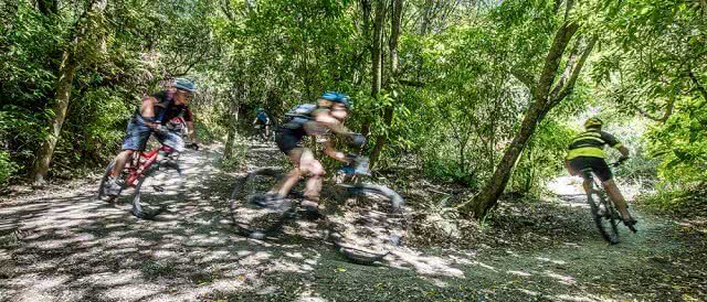 Lake Taupo Cycle Challenge Mountain Bike Downhill