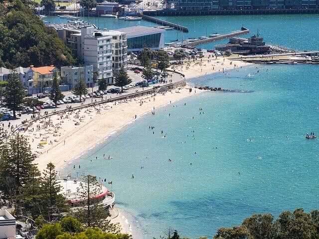 Oriental Bay Sunbathers, Wellington