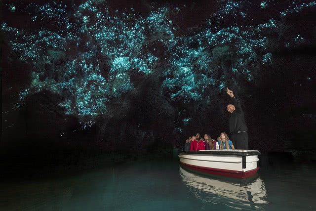 Taking the tour in the Waitomo Glowworm Caves