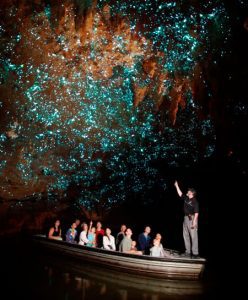 Take a spectacular boat trip to see the Waitomo Glowworm Caves