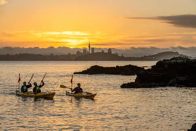 3 people kayaking while the sun sets over the Auckland skyline in the background