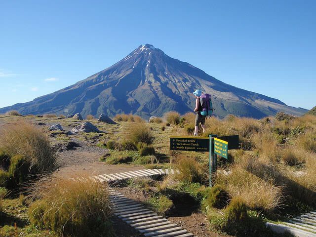 Egmont National Park. Photo credit: DOC