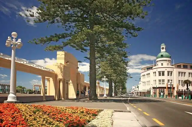 A row of large trees and a flower bed along the Napier promenade