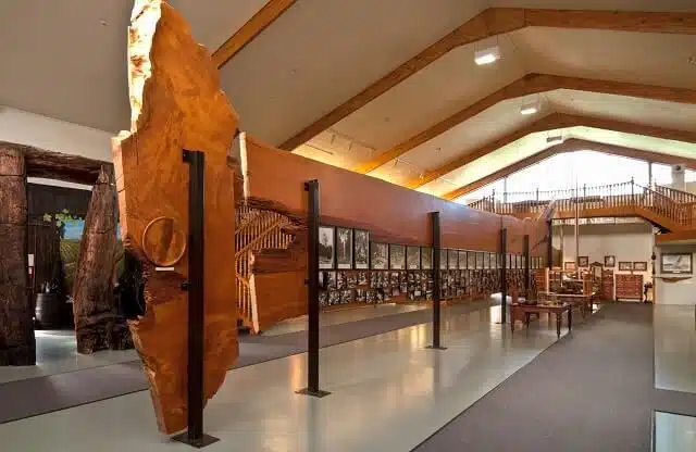 The Kauri Museum - Northland