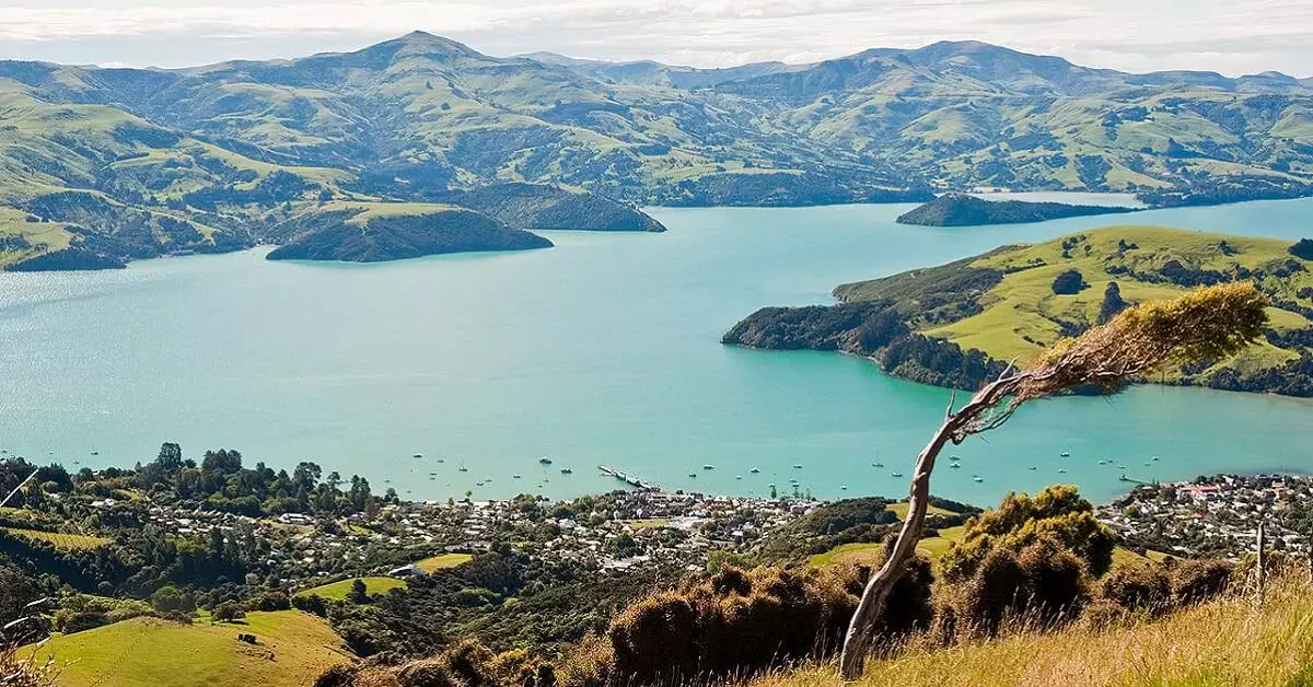 A nice shot of Akaroa from the hills above