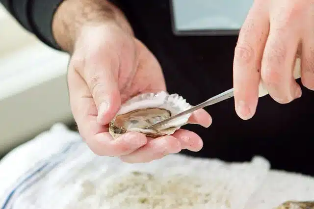 a chap shucking a bluff oyster with his hands and a knife