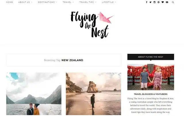 Flying the Nest blog screenshot