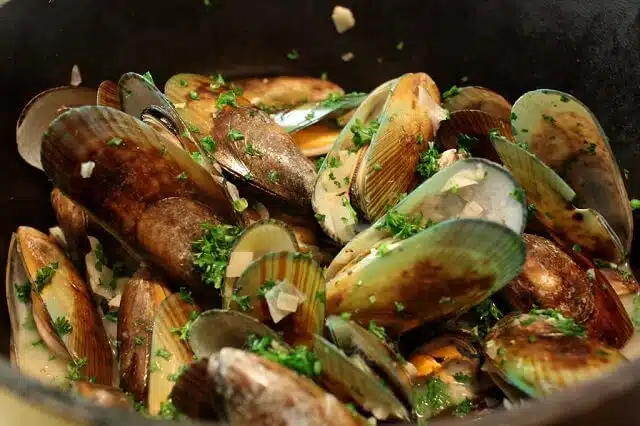 New Zealand Green Lipped Mussels
