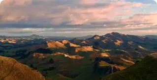 Looking out over the hills of the Hawke's Bay region