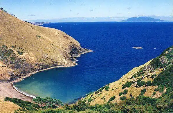 Great Barrier Island