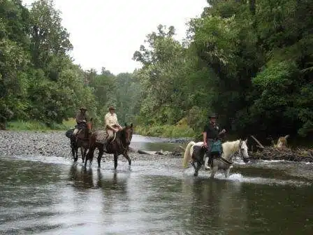 Horse trekking in the rivers of New Zealand