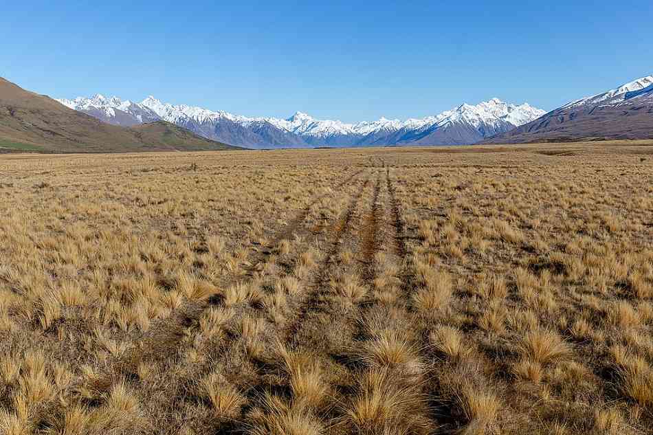 Te Araroa Trail by Lake Clearwater, Canterbury, New_Zealand