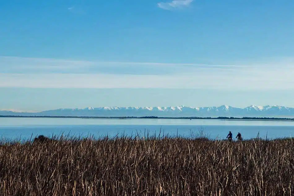 Cycling the length of New Zealand