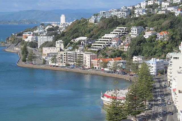 oriental bay in wellington