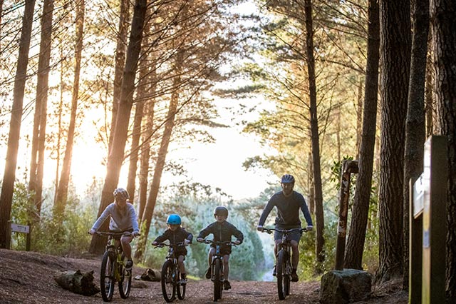 family of four riding bikes on trail through forest