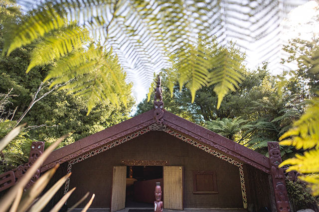a maori wharenui, or communal house, in the forest