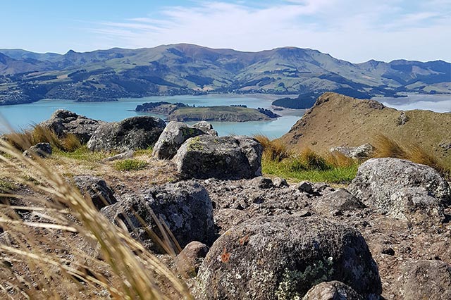 volcanic rock on the banks peninsula