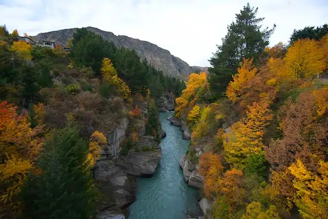 arrow river running between rocky shores with dense bush on either side