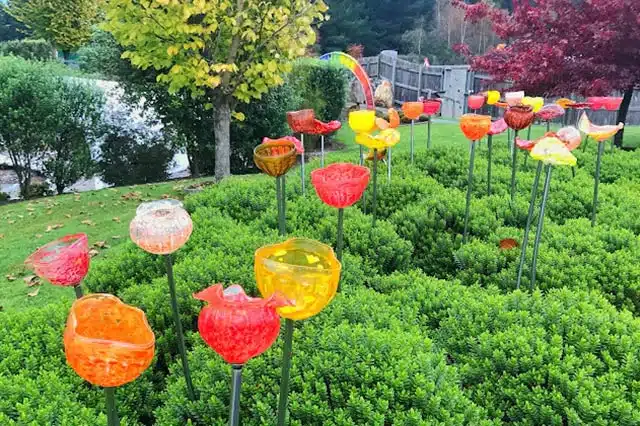 Colourful glass flowers scattered through the bush at the Lava Glass Sculpture Garden