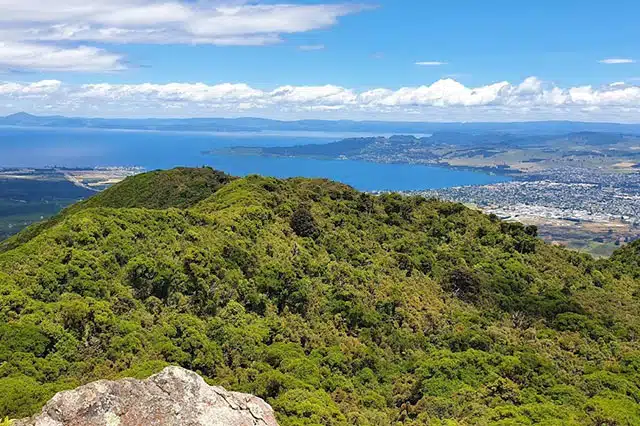 The view of Taupo Lake from the top of Mt Tauhara