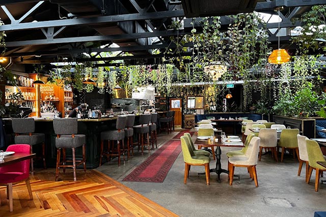 The bar and seating area of 5th Street restaurant with green plants hanging from the ceiling 