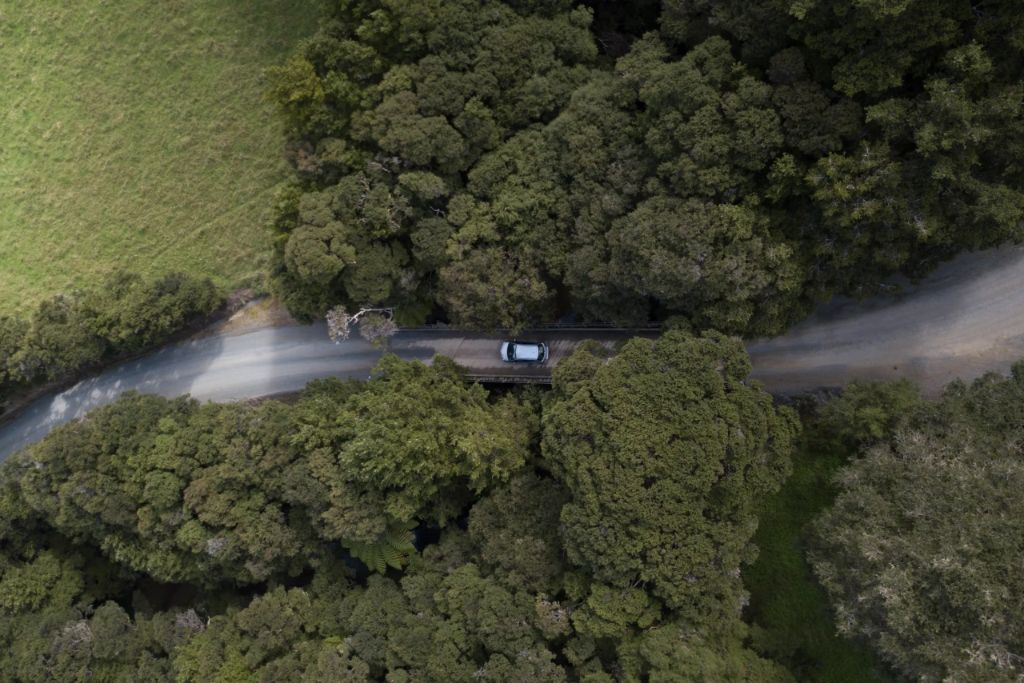 vehicle driving on road surrounded by forest landscape
