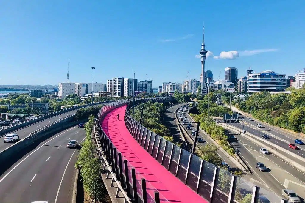 Auckland City New Zealand road