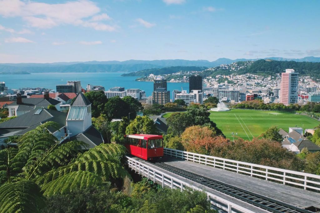 wellington city city view with cable car and ocean