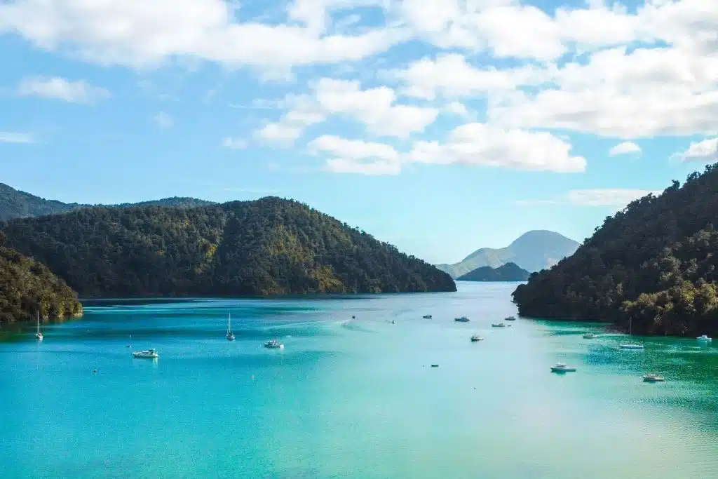 Marlborough Sound in south island new zealand