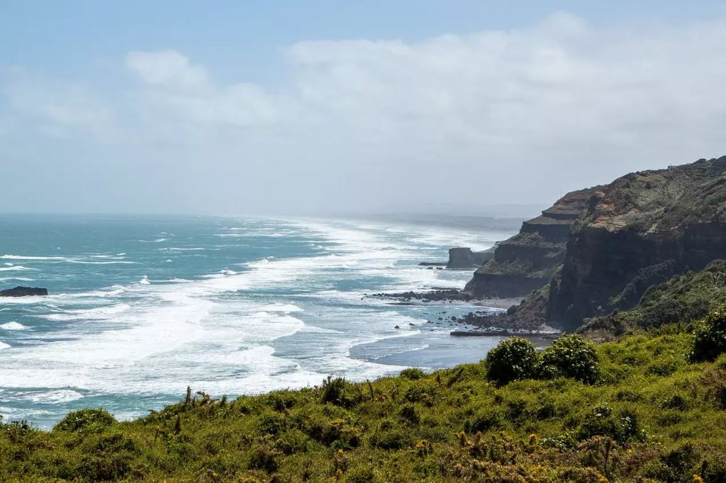 new zealand beach and mountains