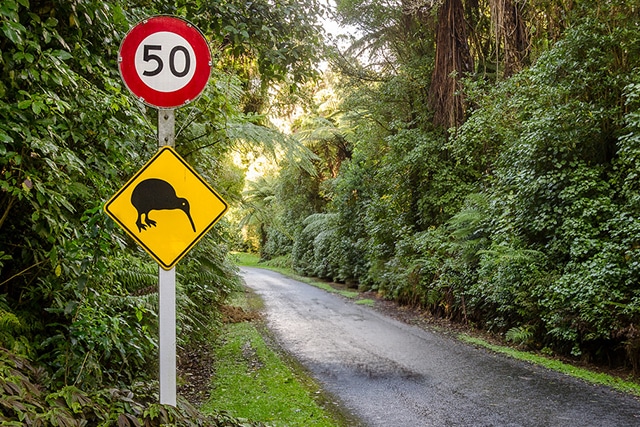 New Zealand road speed limit and Kiwi sign