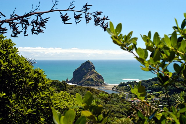 Piha Beach