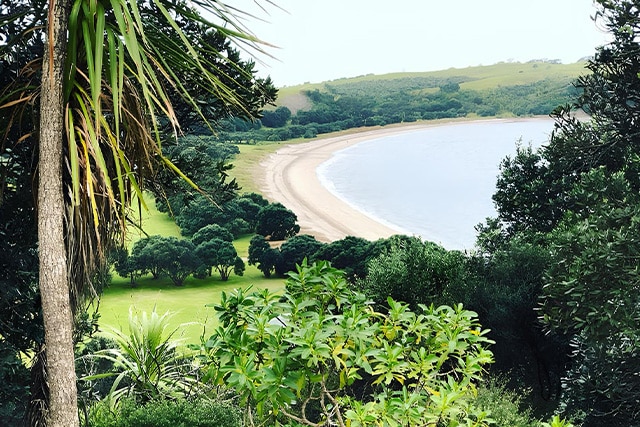 Whangaparaoa