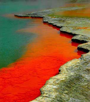 Image of Wai-O-Tapu Champagne Pool