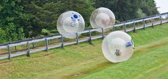 Image of people rolling down a hill in giant inflatable balls known as Zorbing in Rotorua